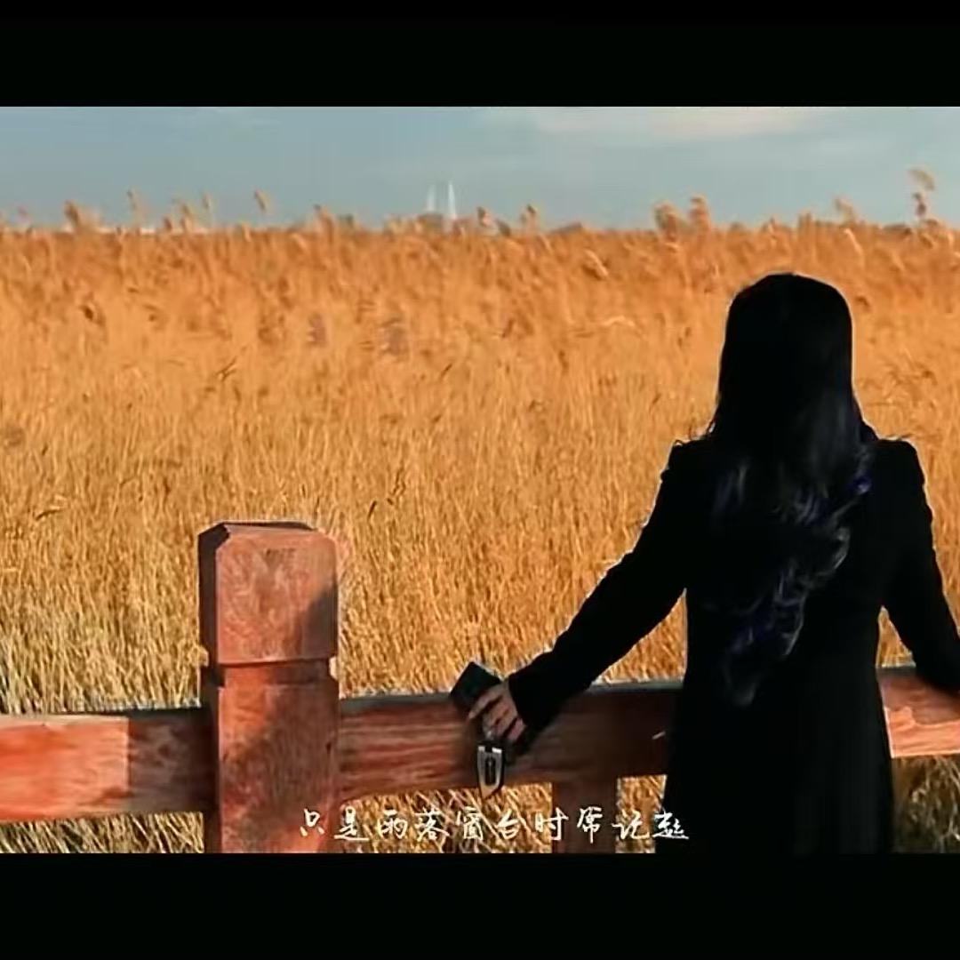 大庆市萨尔图区焱亮女装