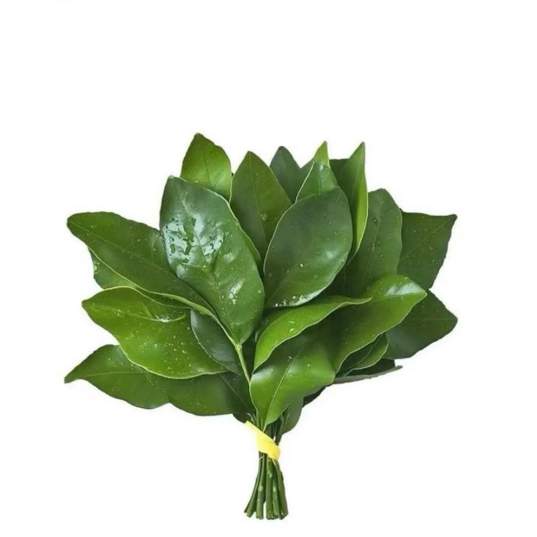 koi茹-