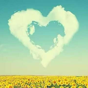 木森［独出机杼］