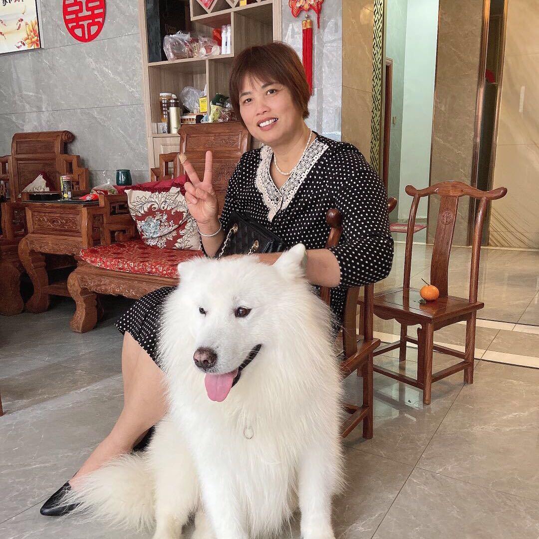 诚信是福🌺🌺