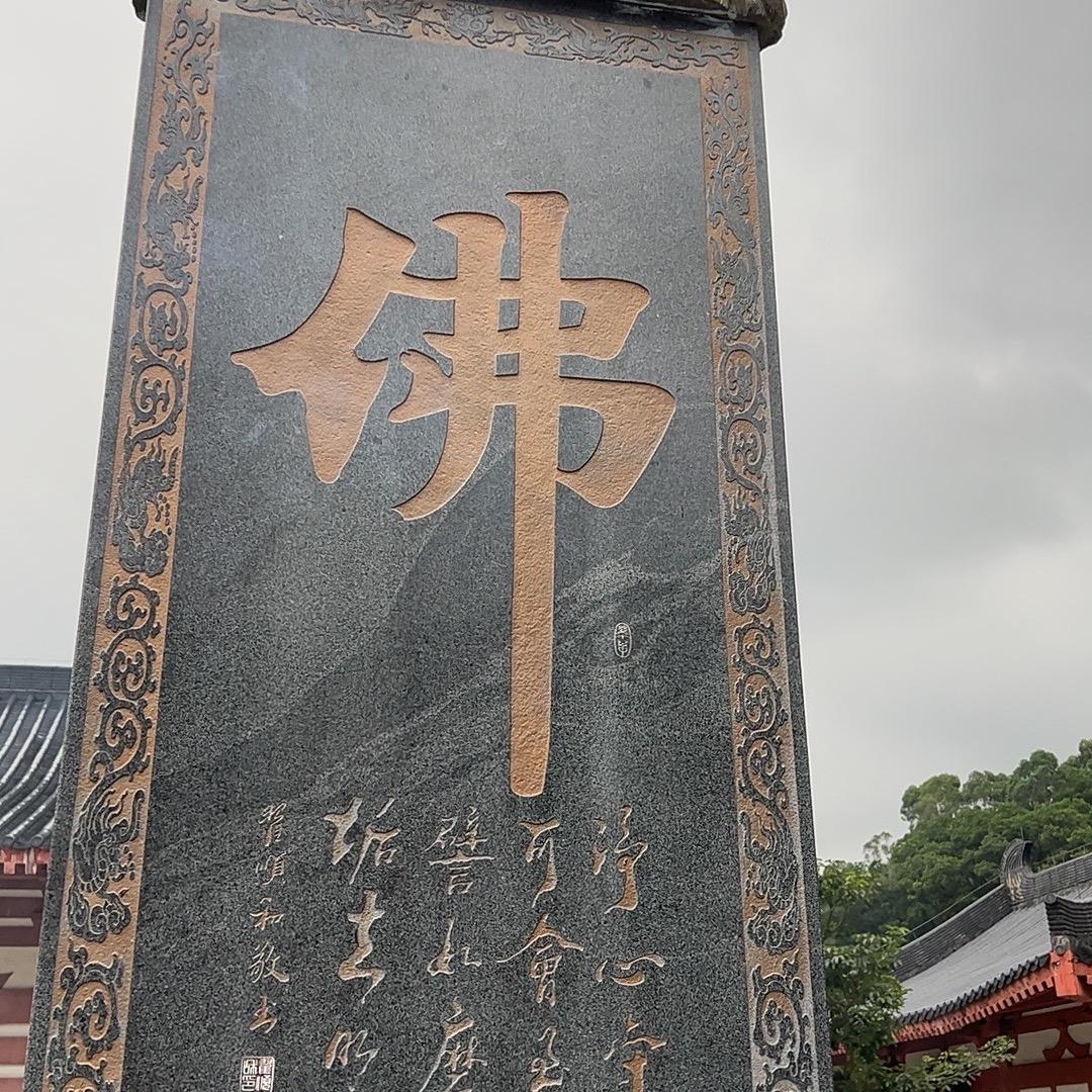 国家二级保护动物🦔