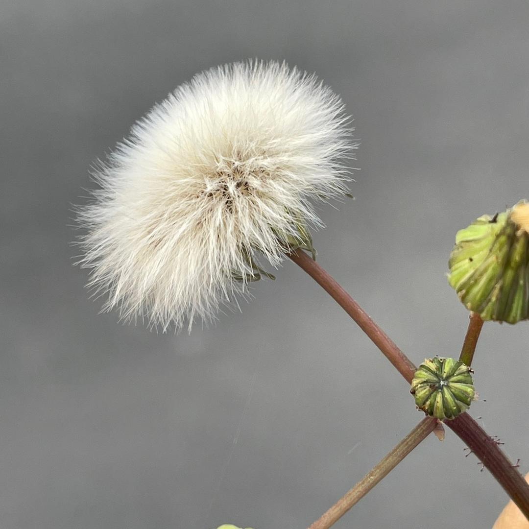 楠木子婴幼童装