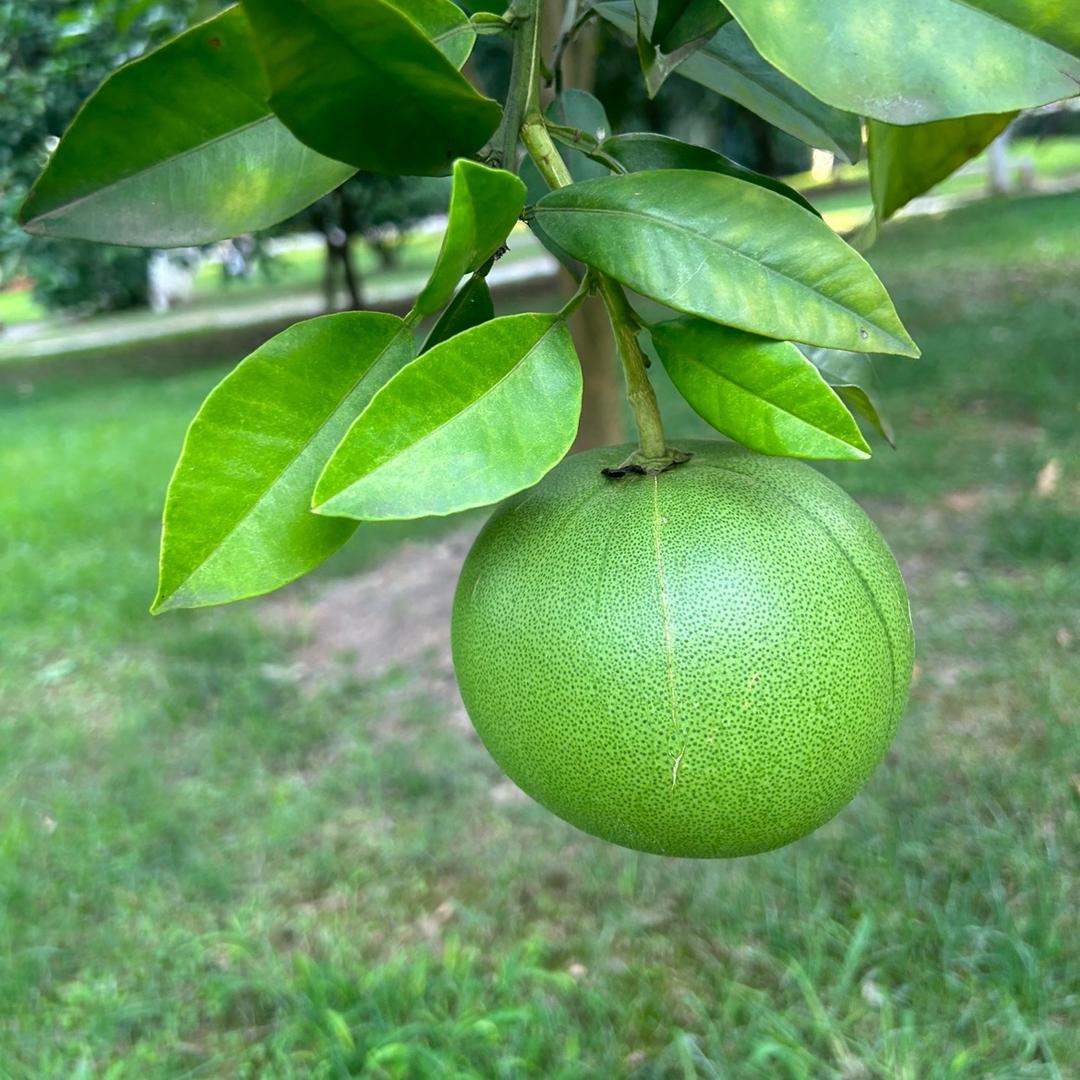 乐乐的🍃🍃