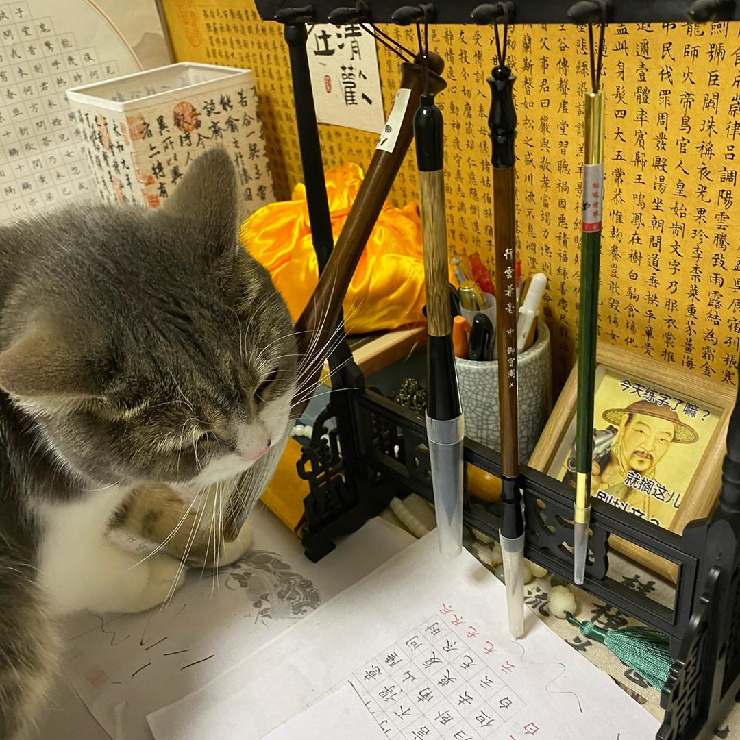 我不是蔡文姬呀