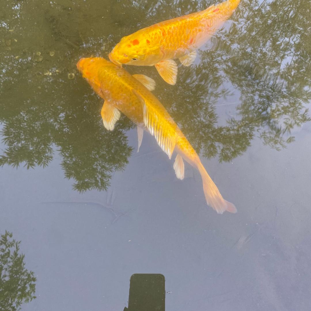 差不多