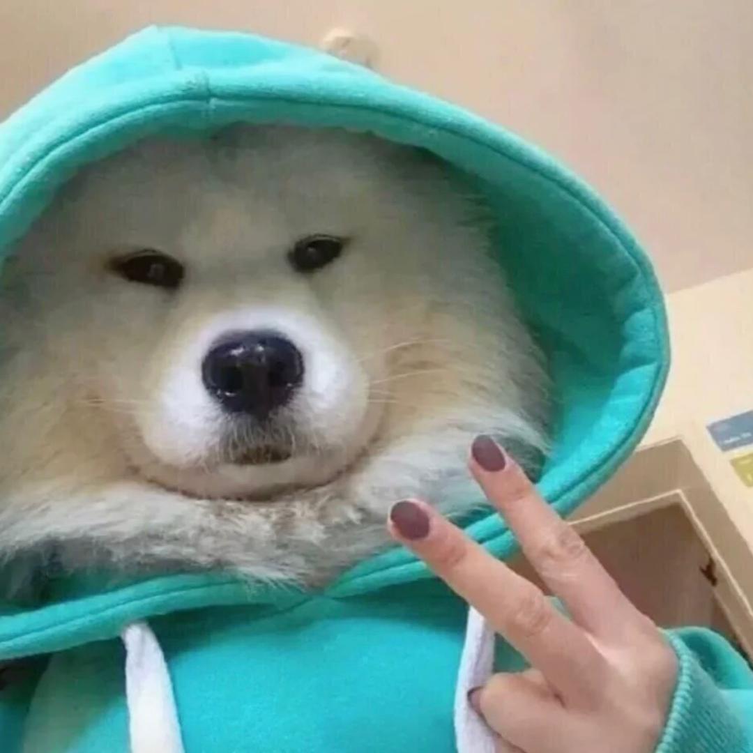 能成事