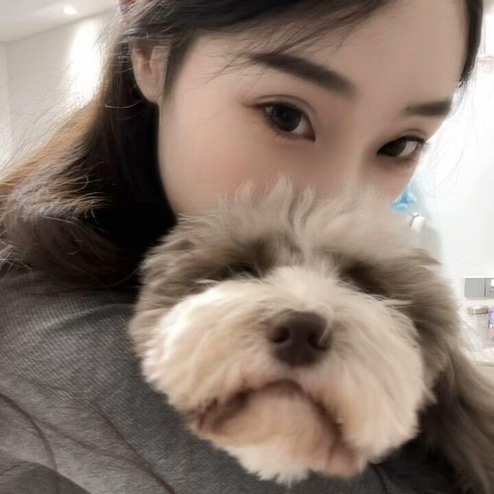是汀汀吖