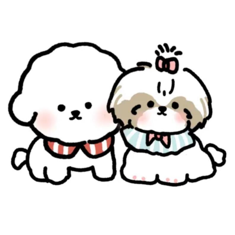 jiojio家西施犬舍