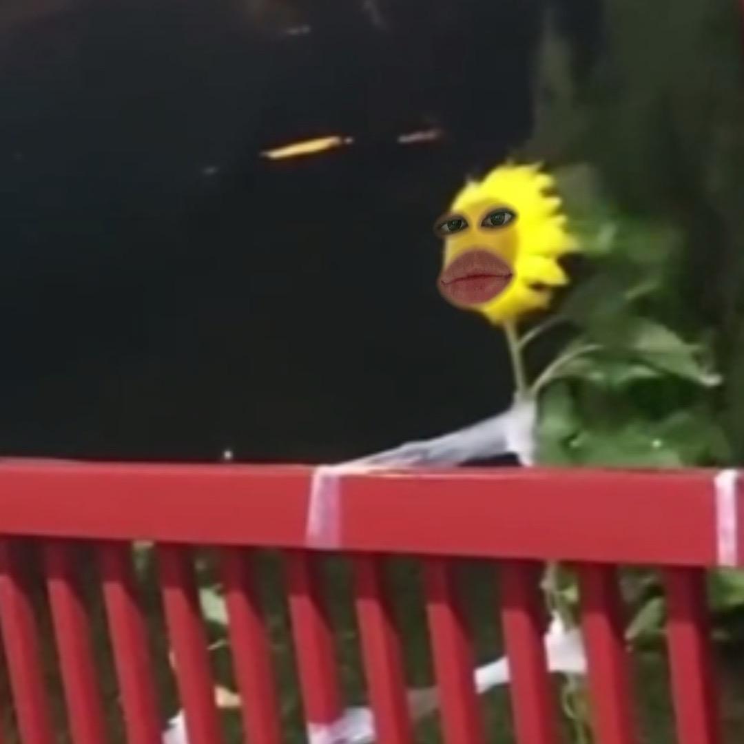 财从四面八方来👏🏻