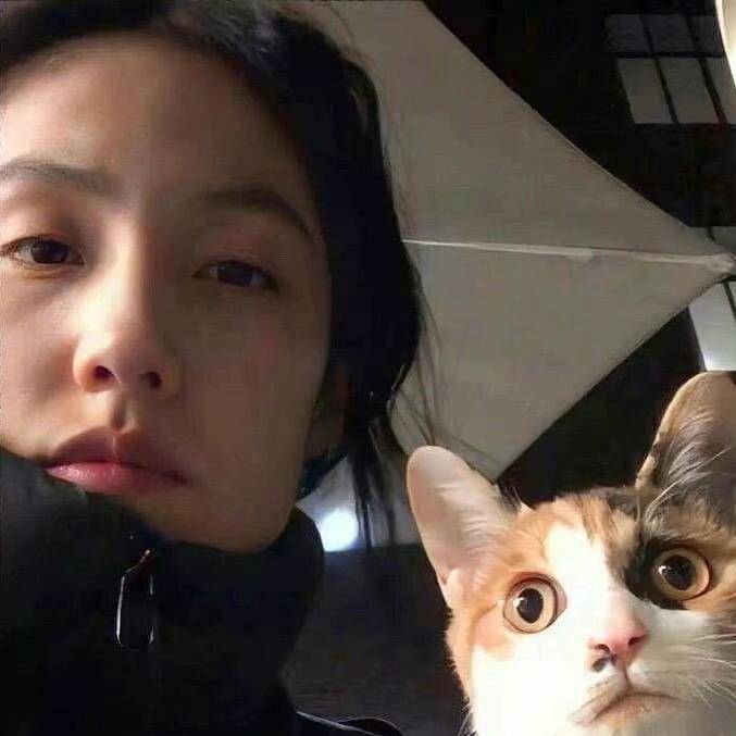 烫手的冰🧊