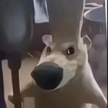 阿才