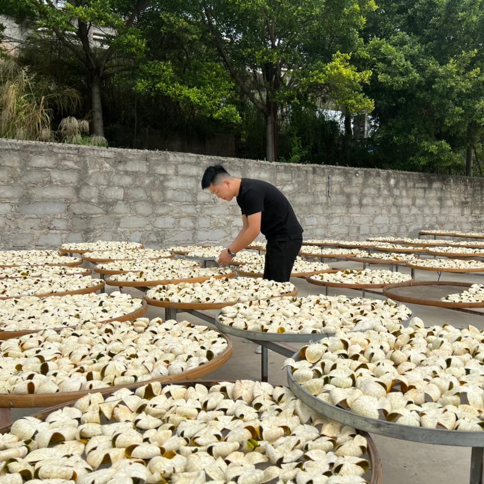 新会陈皮源头供应商-昀陳