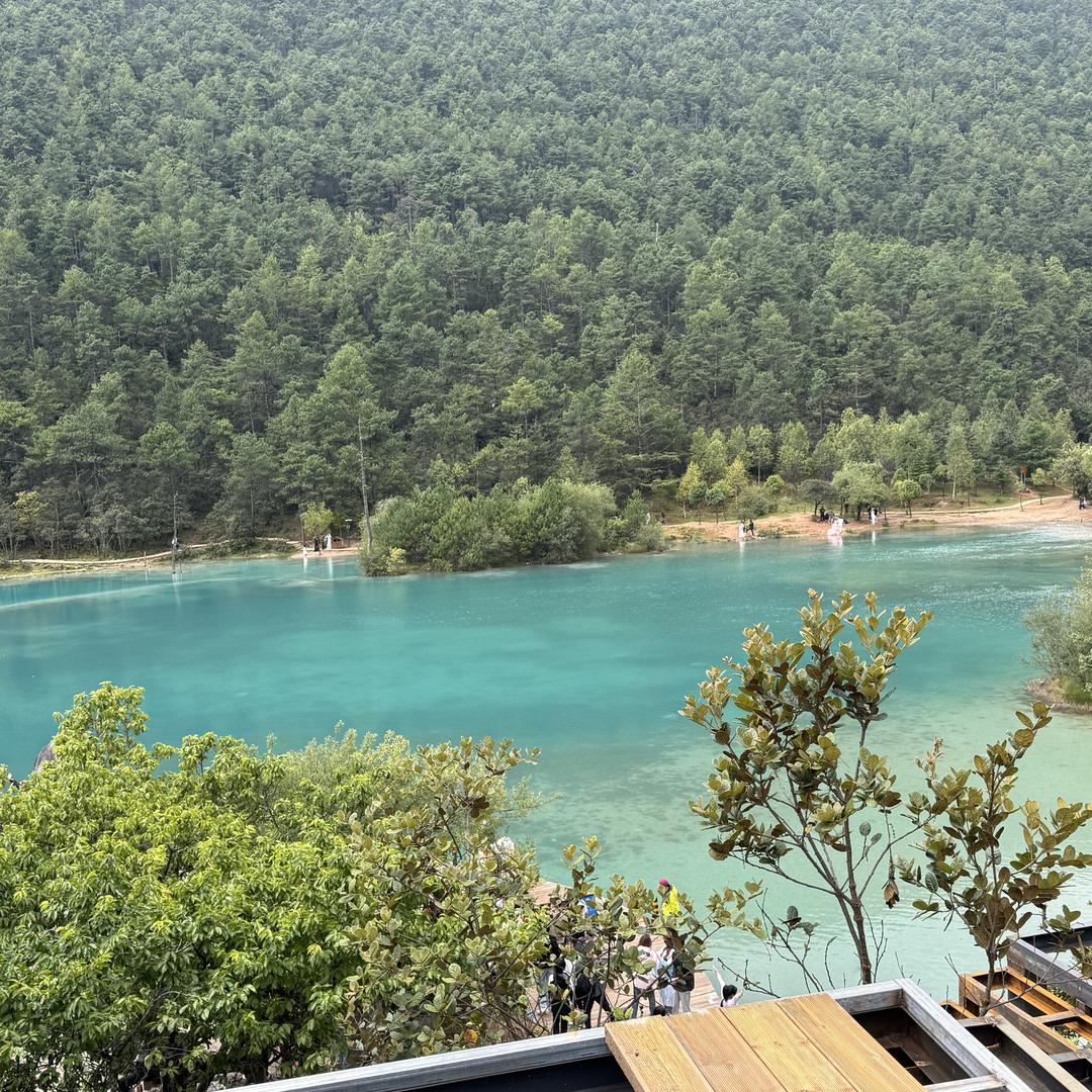 深圳市宸源食品科技有限公司