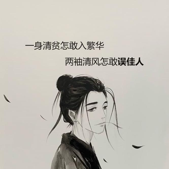 喵喵的世界