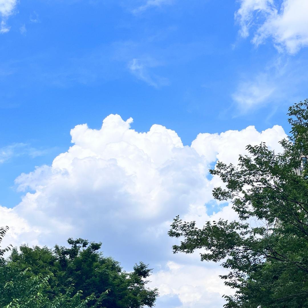 莹儿（蓝莓🫐基地）