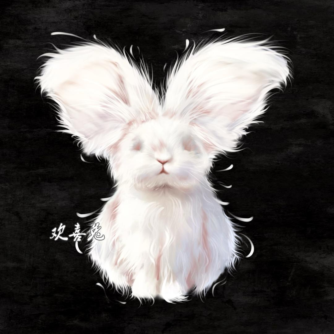 欢喜🌈彩色安哥拉兔