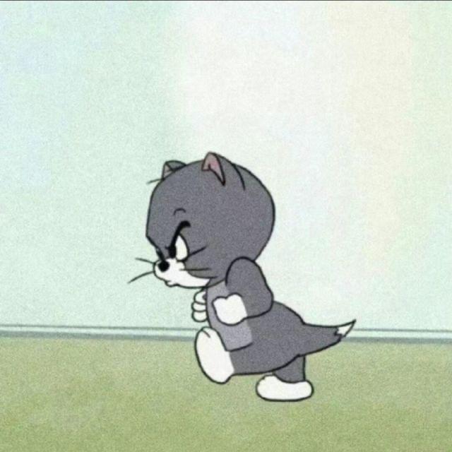 卡布西游林狗