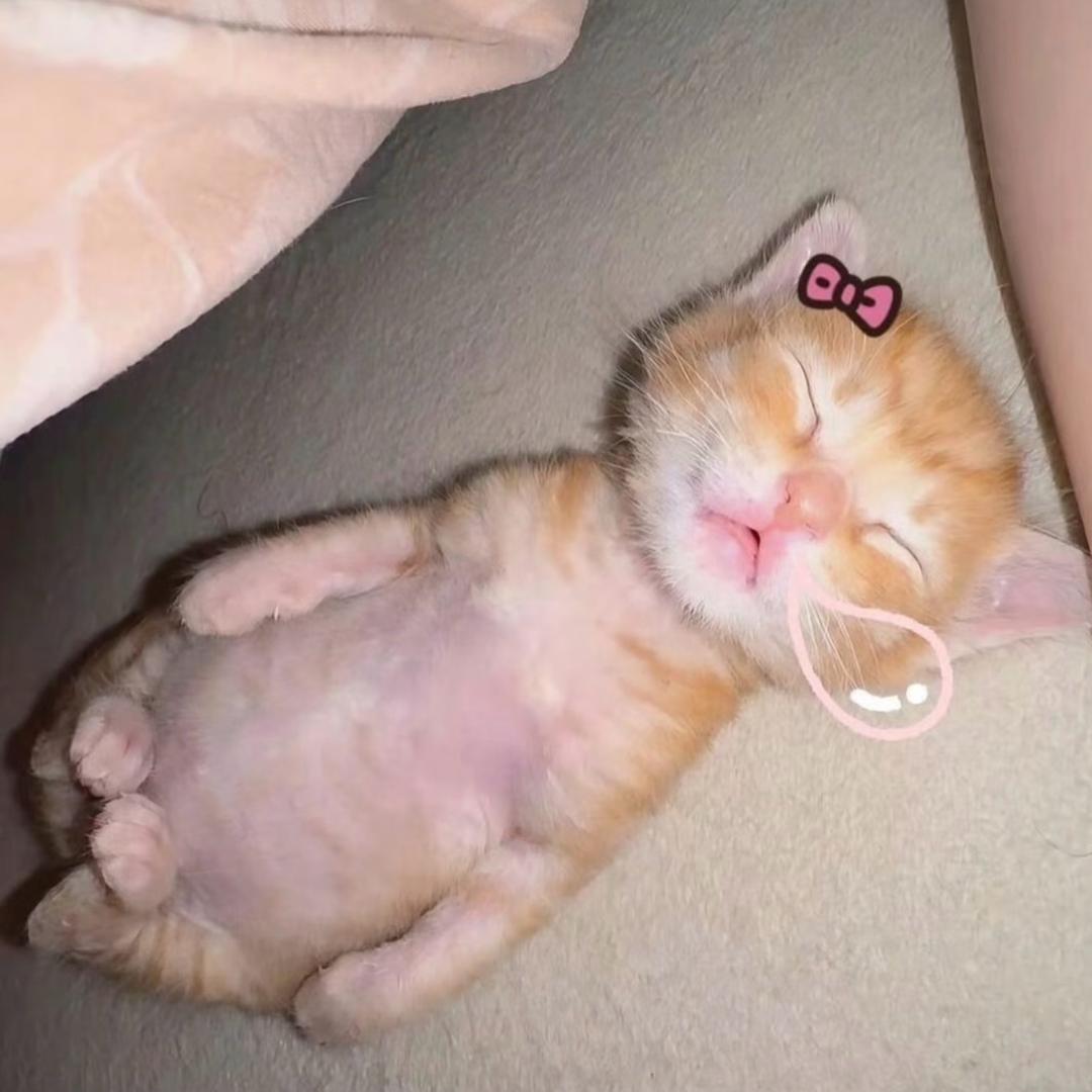 番圆饼