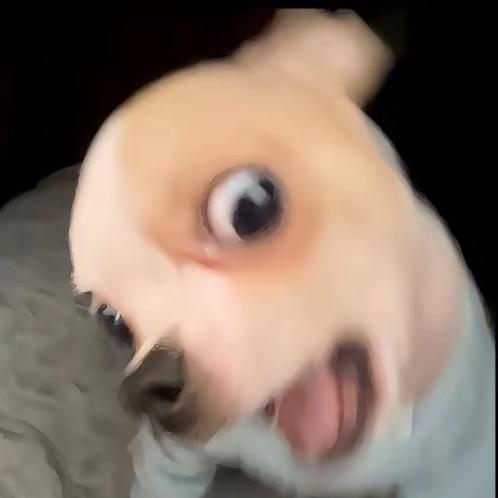 如宝宝