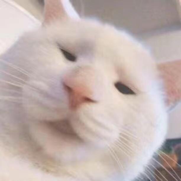 韩.
