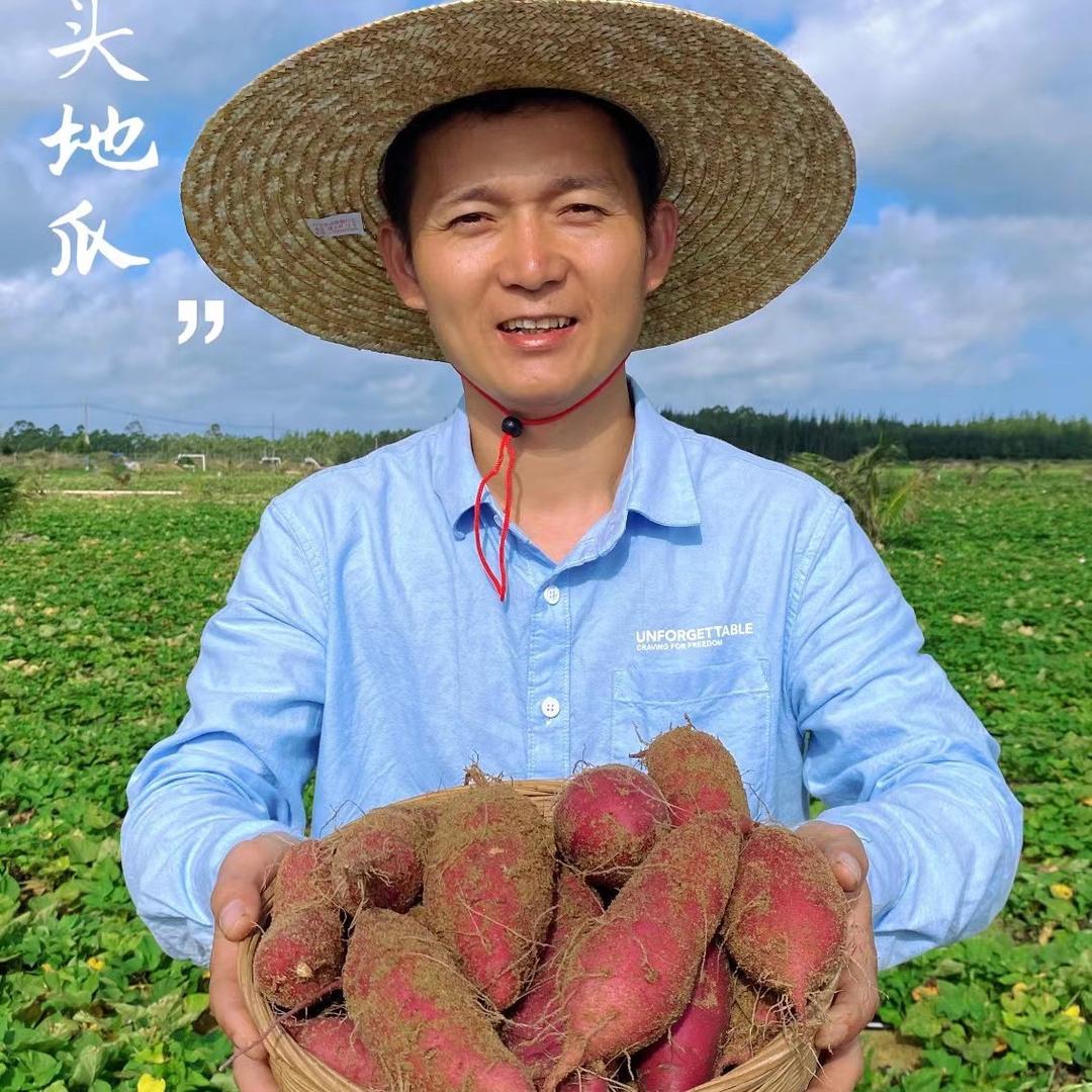 桥头地瓜阿达