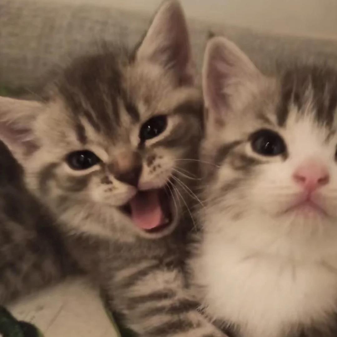 谁敢喜欢我女朋友我就砍谁