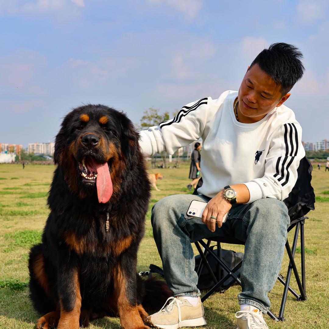 田健