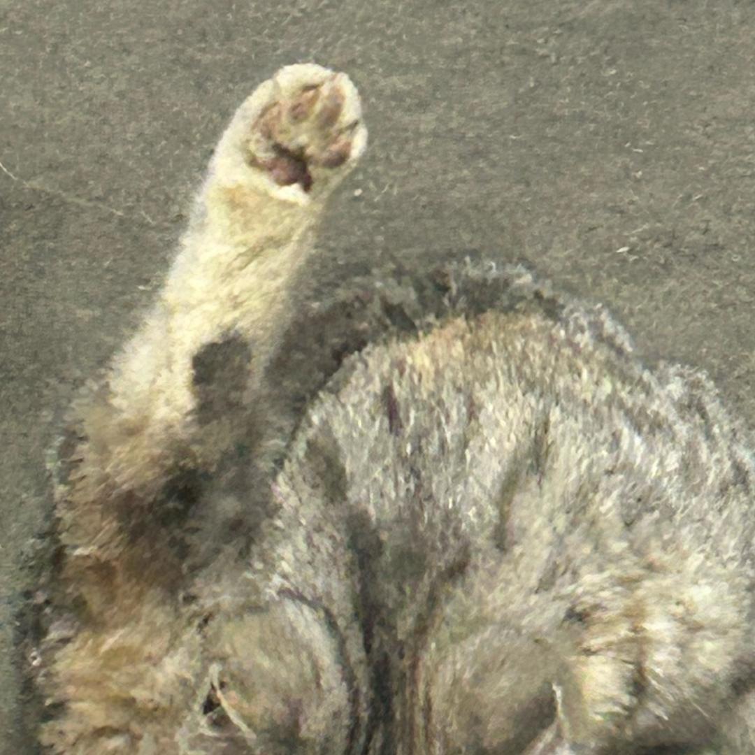 火鸡面刹手