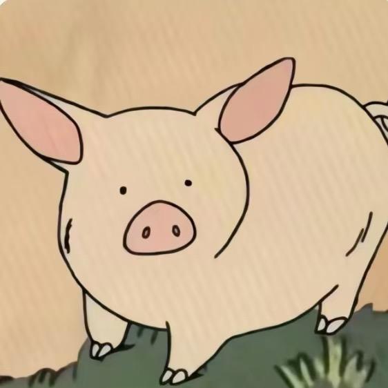 是晨晨吖