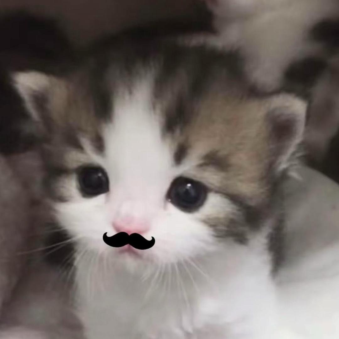 nono