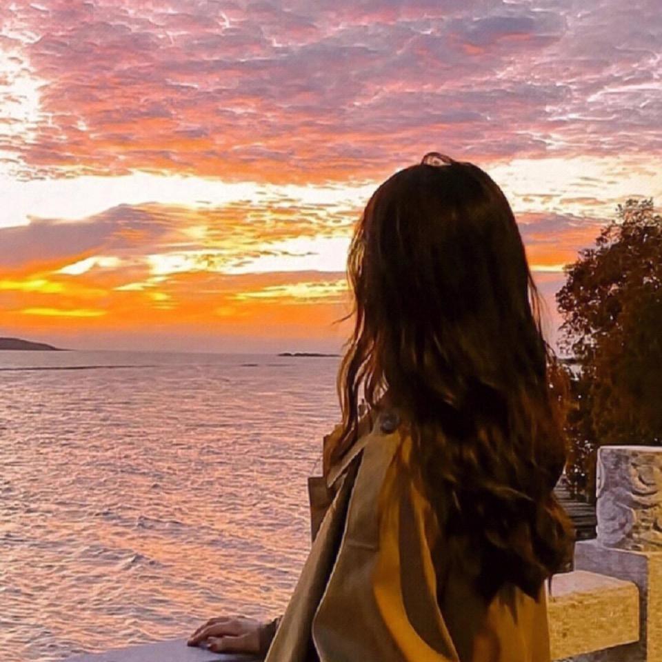 欢欢跟宝哥的故事