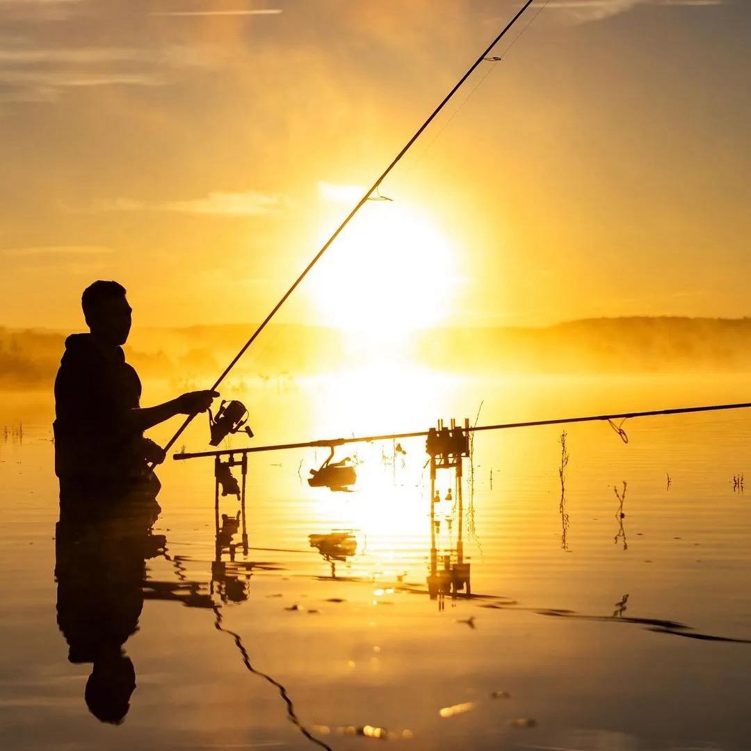 飞德&欧鲤研习院