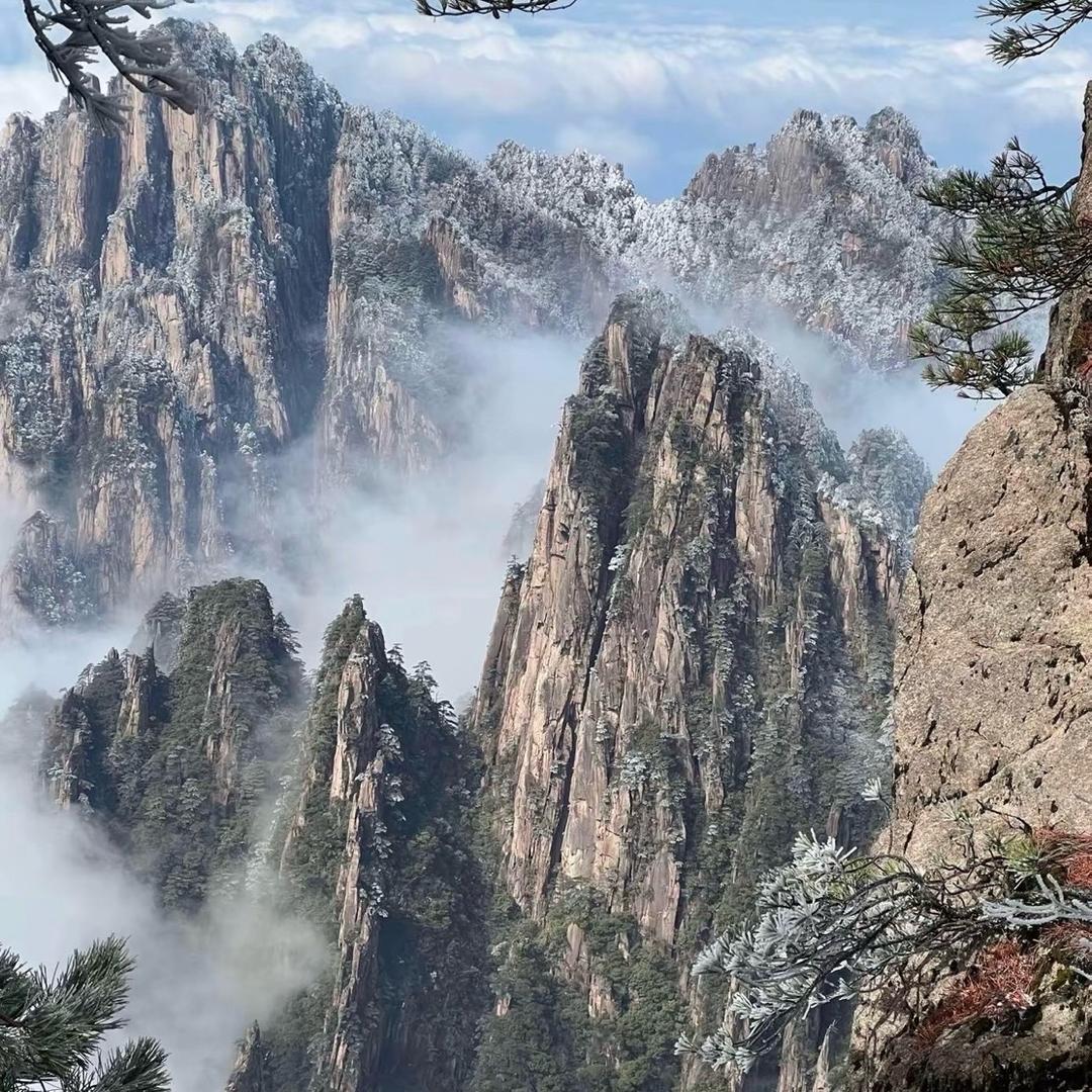 大泡泡🫧