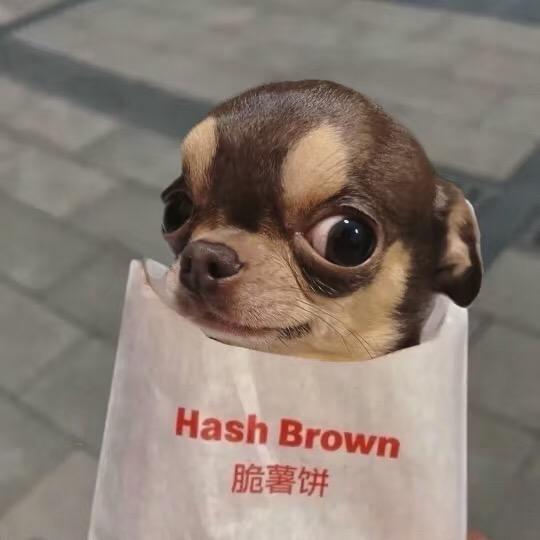 小鼻嘎吉娃娃（可私🐶）