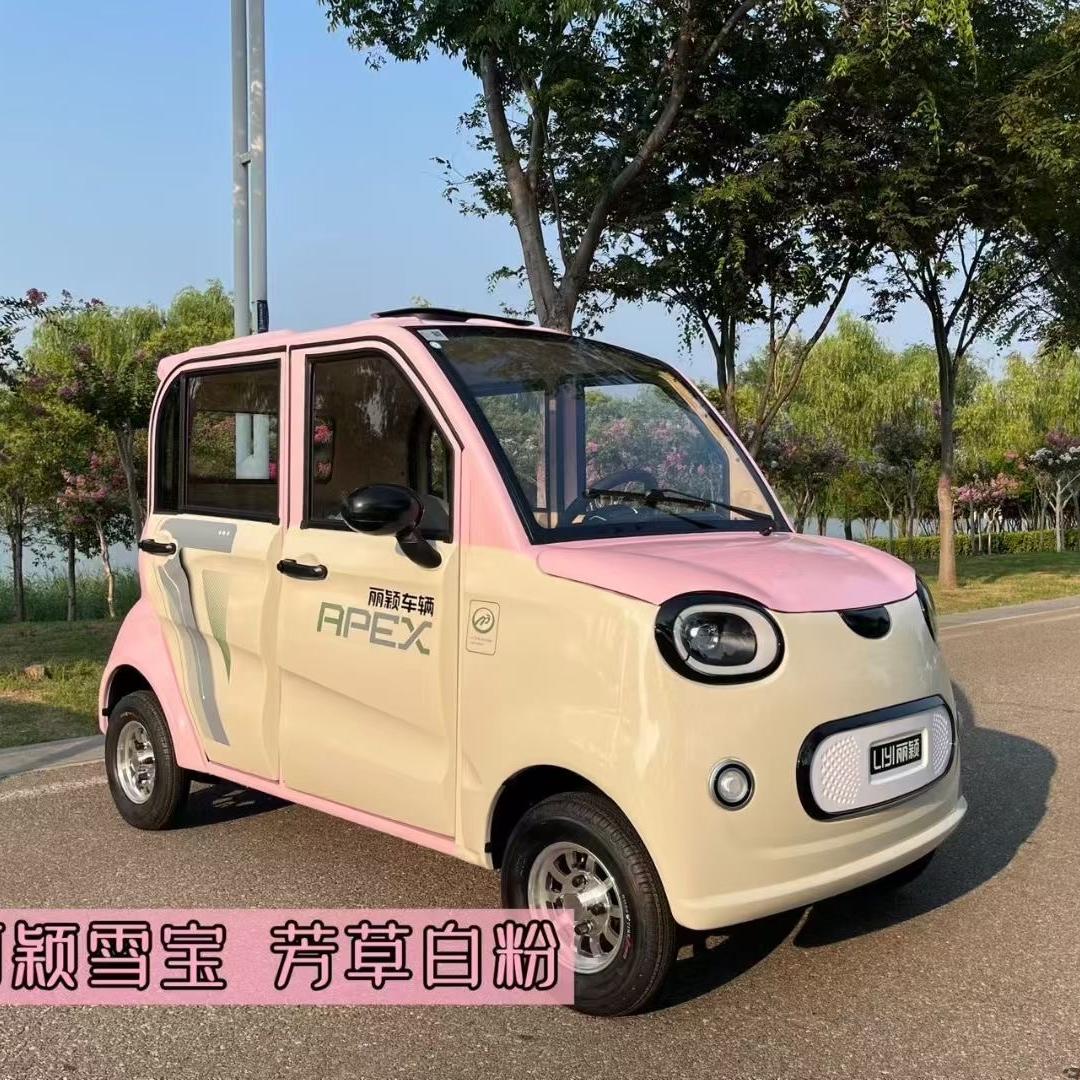 永久四轮代步车新能源挑挑