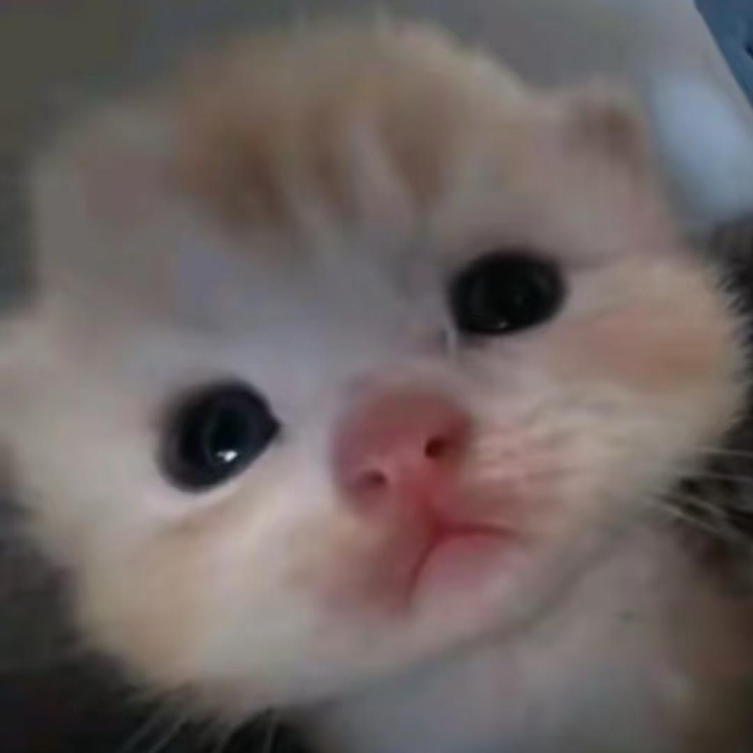 让开我要拉大便