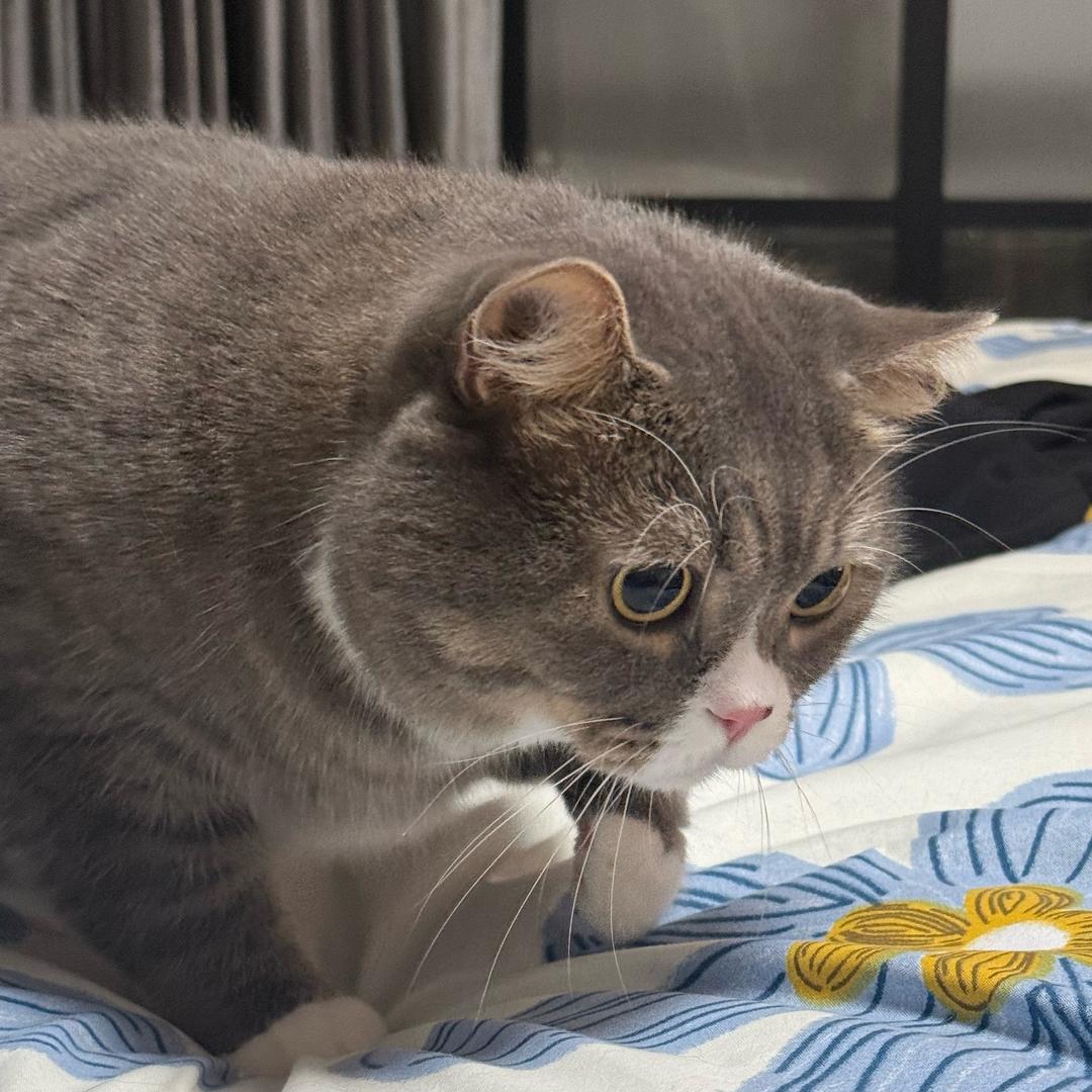 今天吃了吗