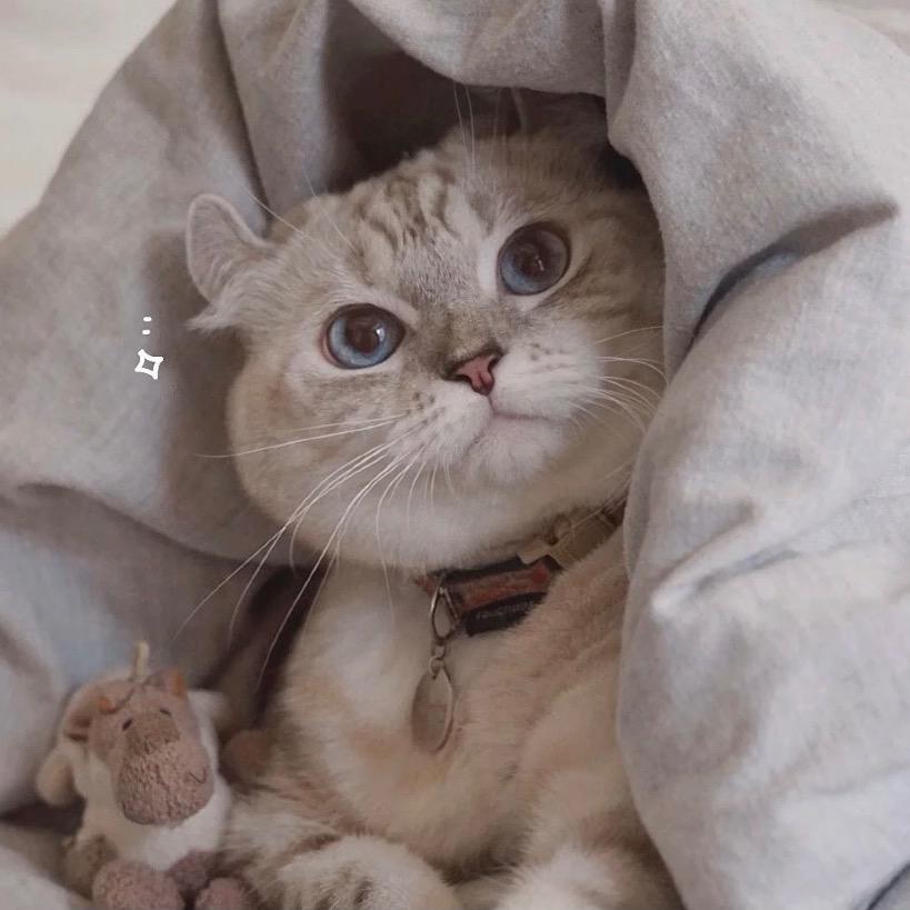 欢愉