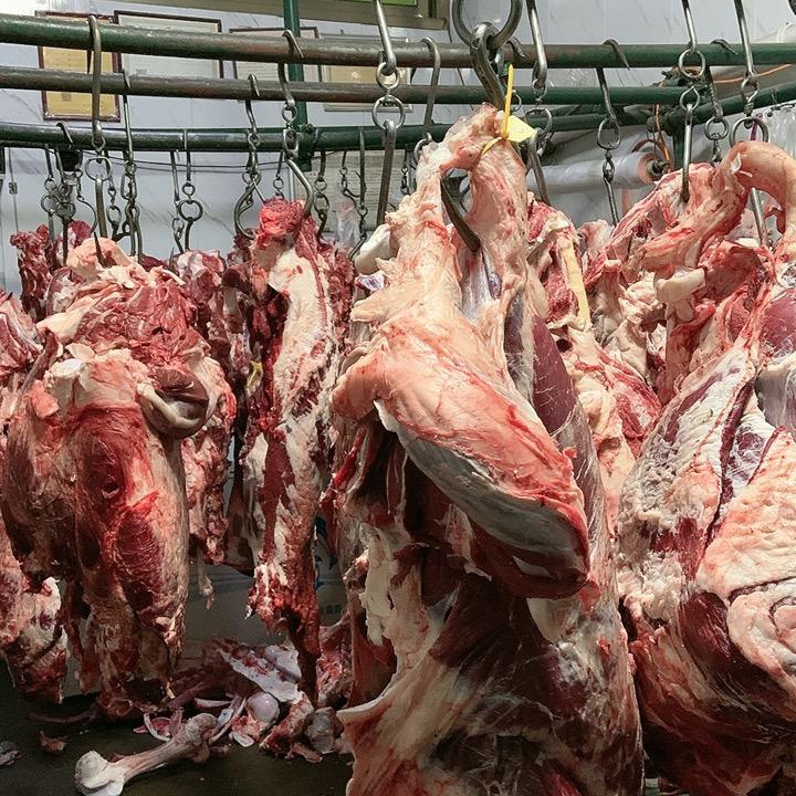 海家牛羊肉经销部「尕炮牛」