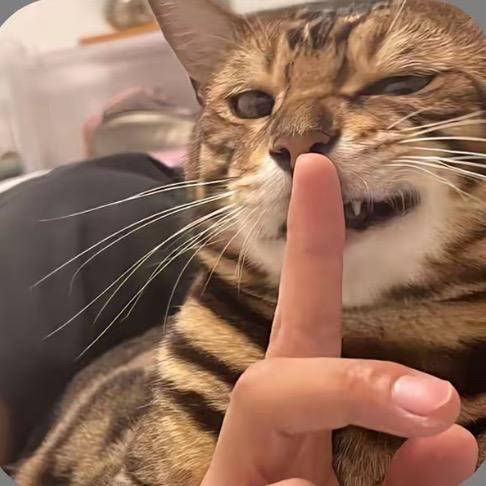 怪鸟一条