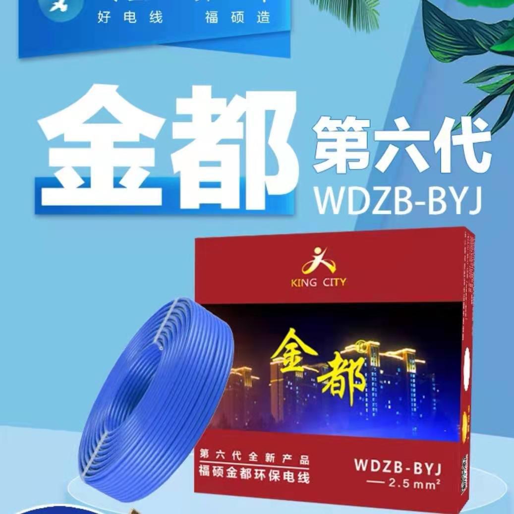 福硕金都线缆