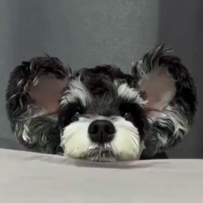 ᅠᅠᅠᅠᅠᅠᅠᅠᅠᅠᅠᅠᅠ小豆子是雪纳瑞