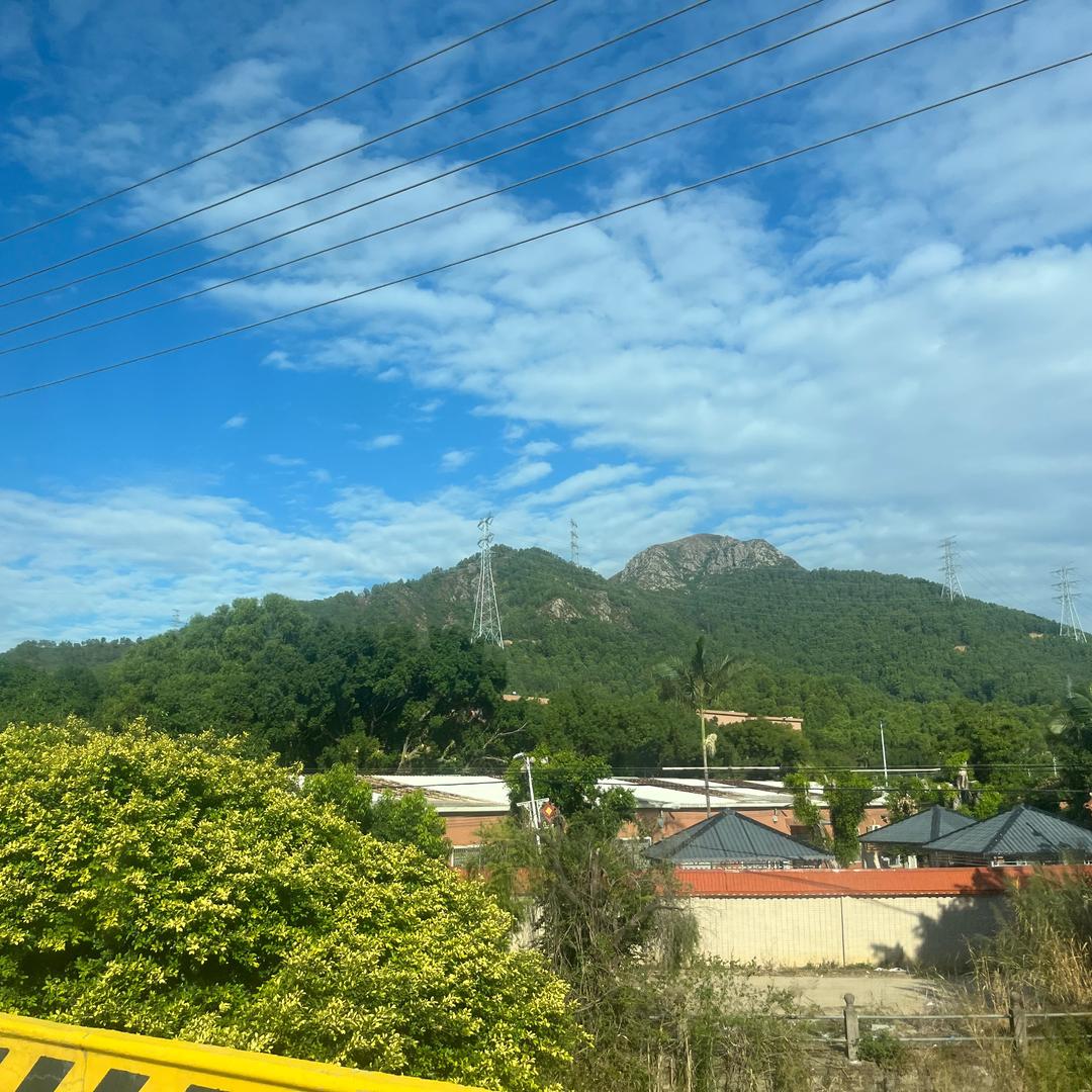 城南蒲仔