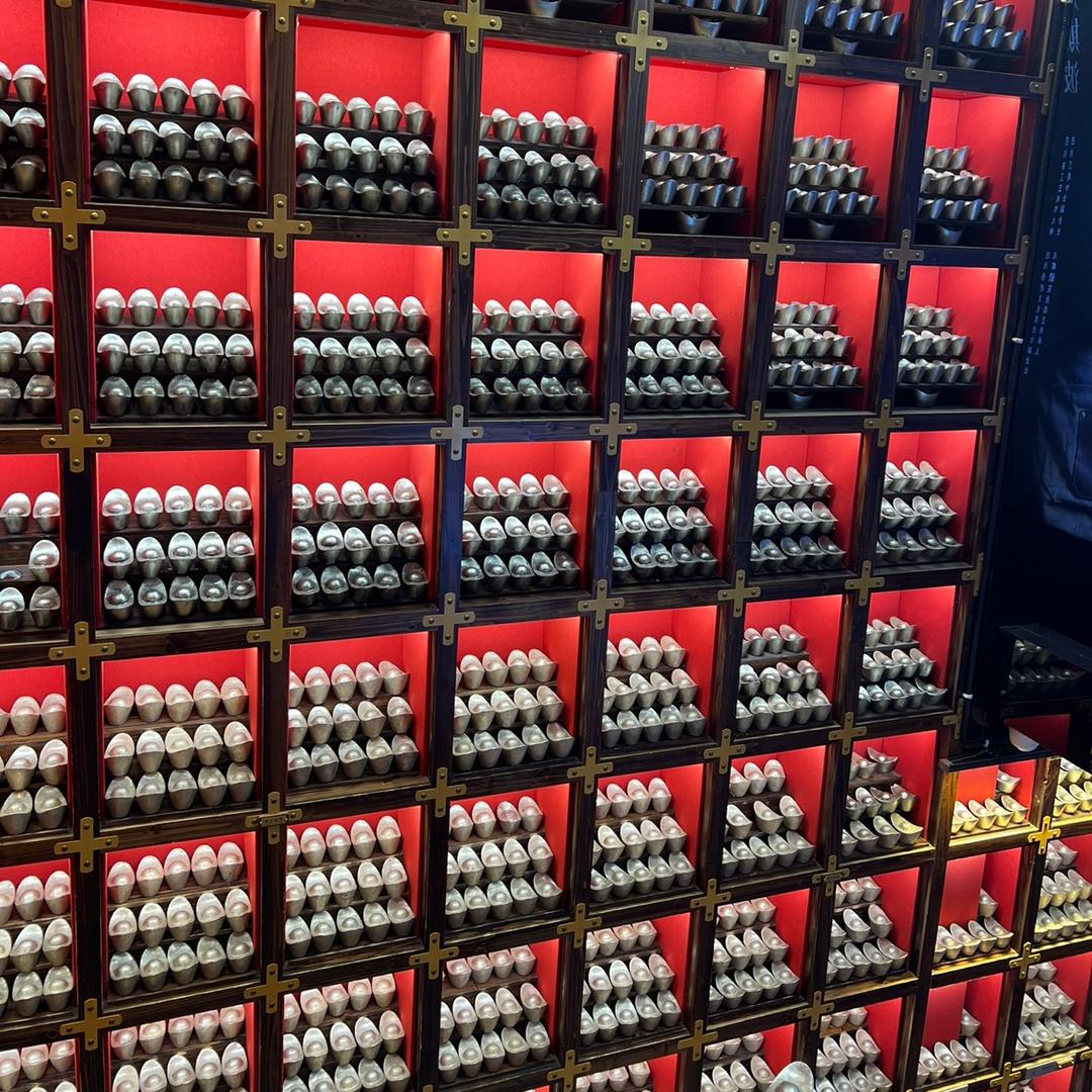 岁行的你
