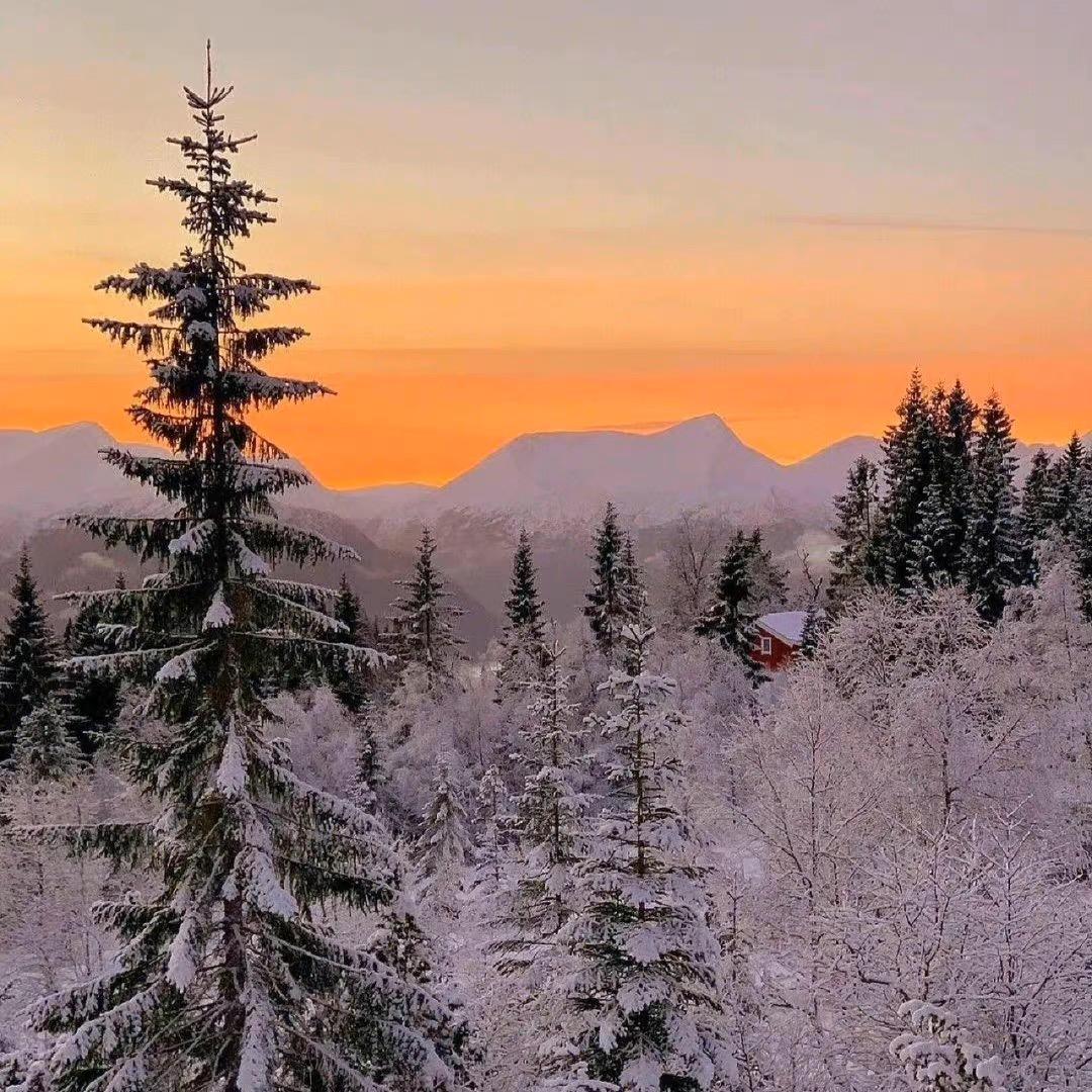 🌈🌈快餐时代没有慢火熬的粥