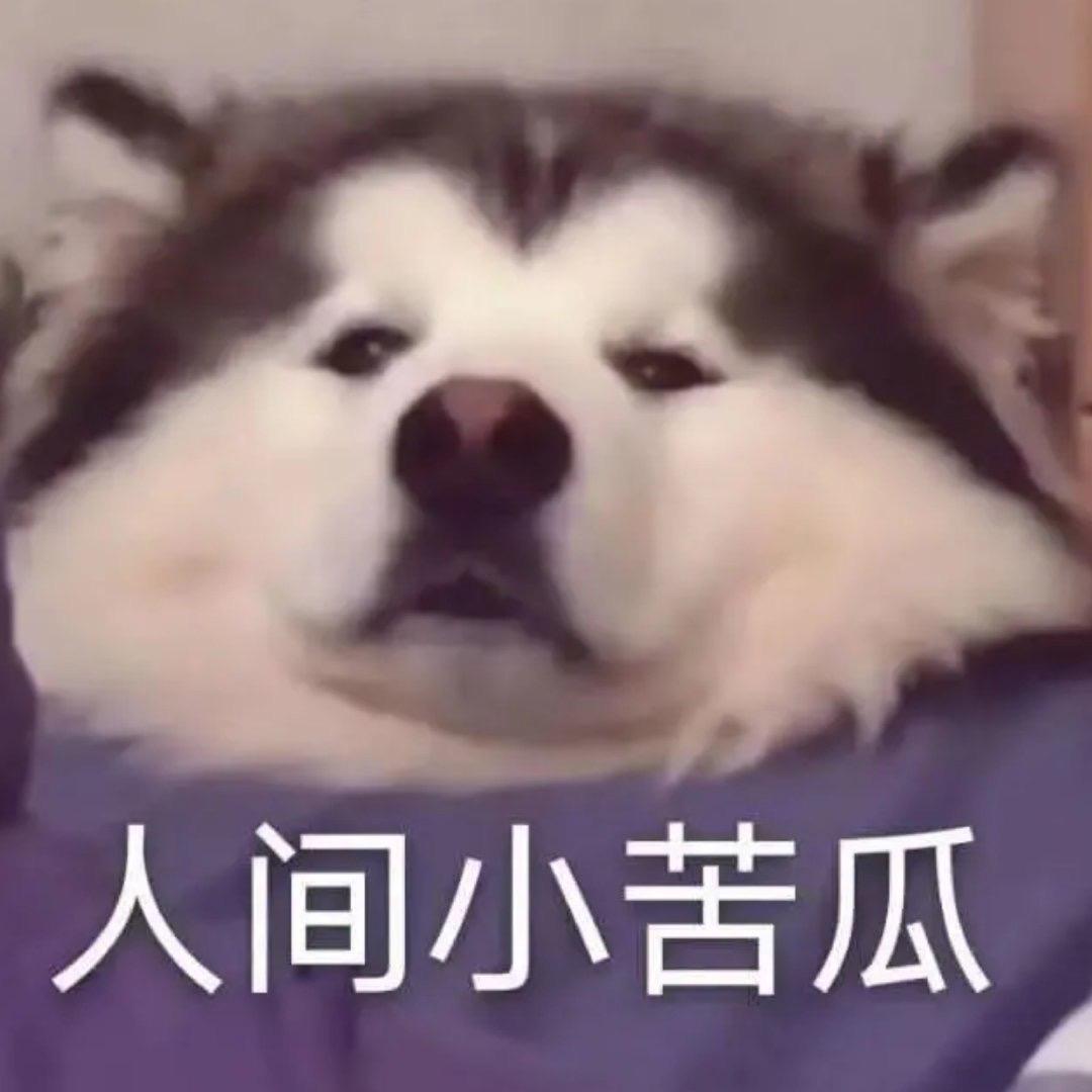 排排呱呱