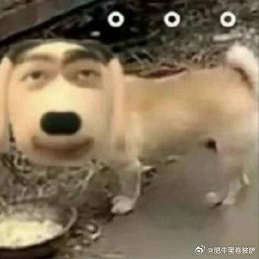 重度瓜瓜爱好者