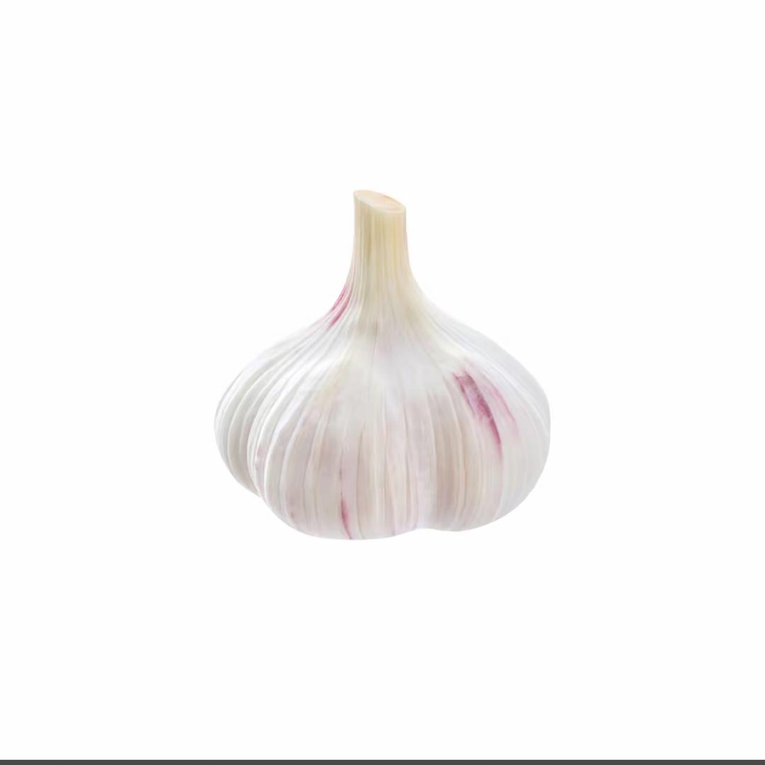 “🧄”
