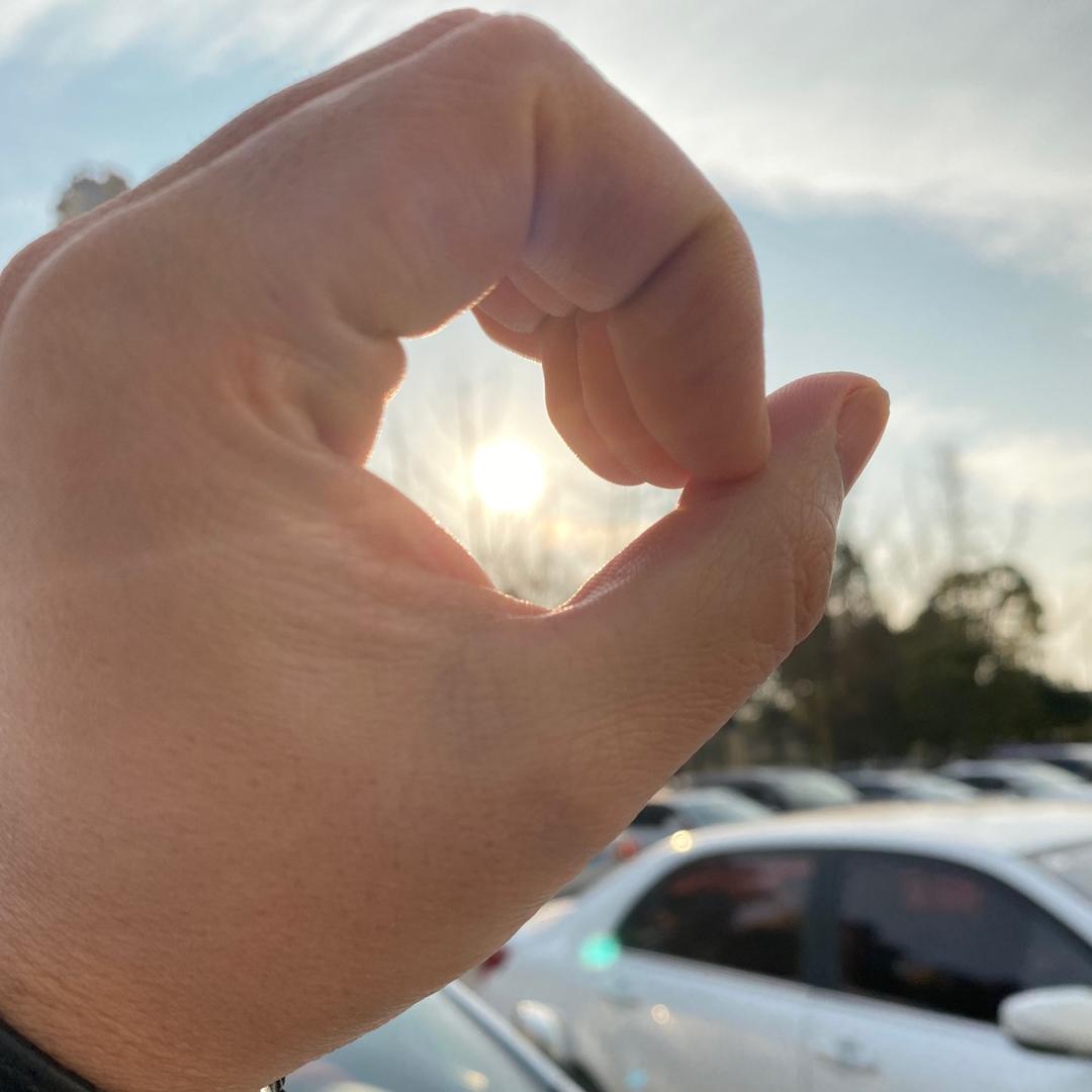 软装设计小白菜