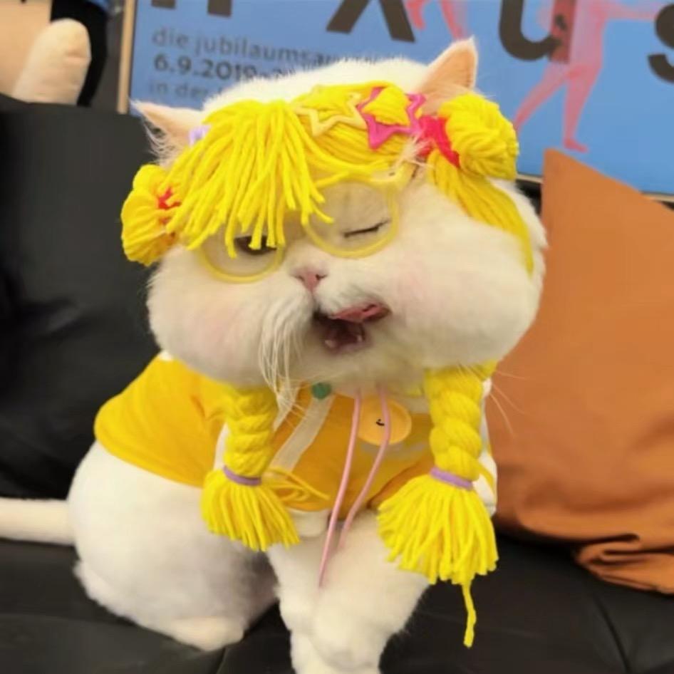 张饭饭  多金女装👚